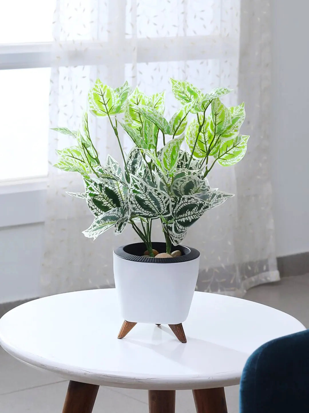 money plant artificial Artificial Plastic Money Plant With Pot – ARICK DECOR