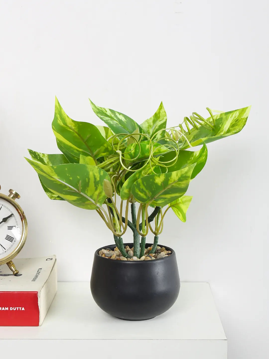 artificial money plant with pot Artificial Money Bonsai Plant with black Pot – ARICK DECOR