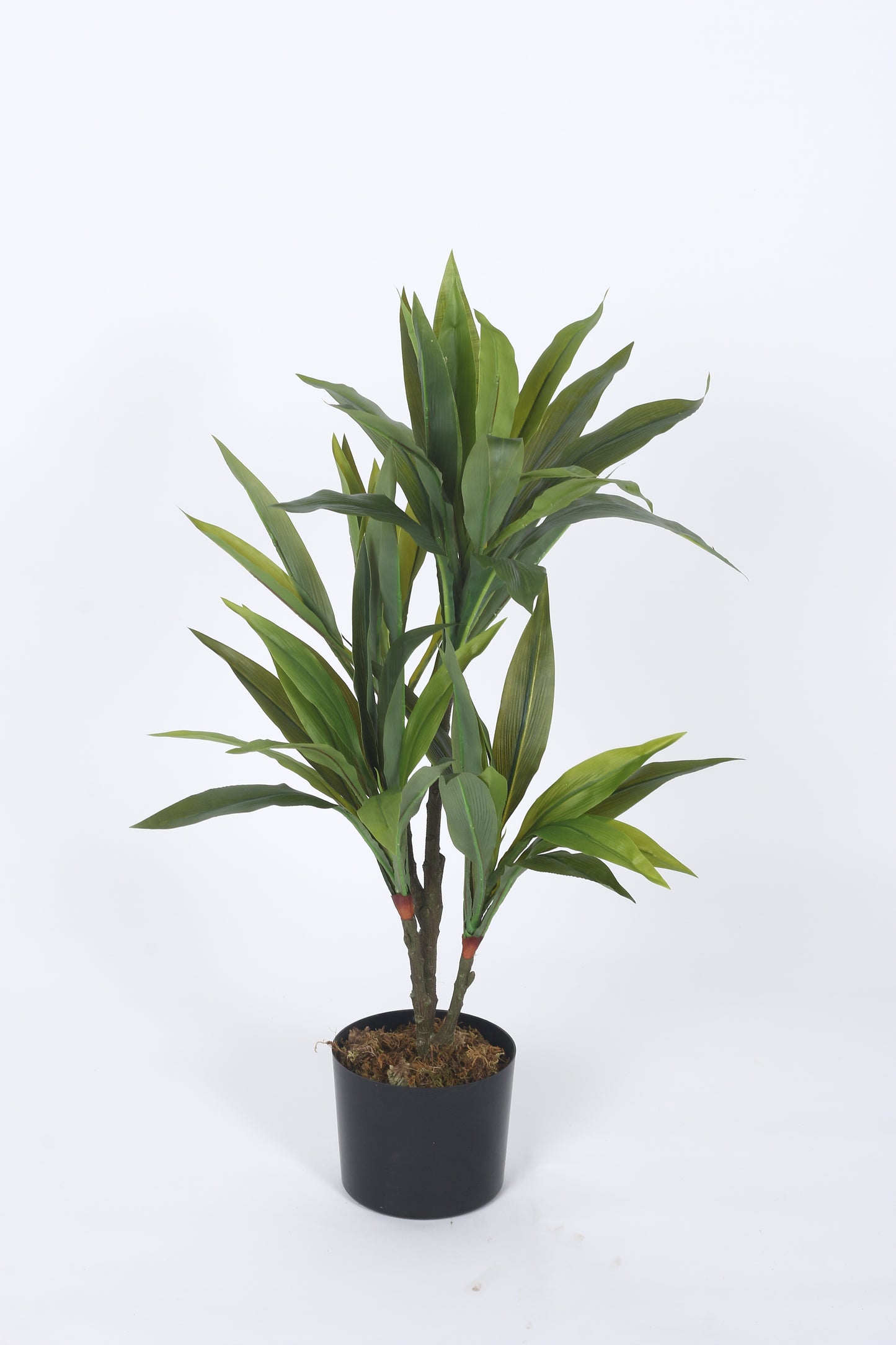 2.4Ft Artificial Dracaena Plants for with Basic Black Pot