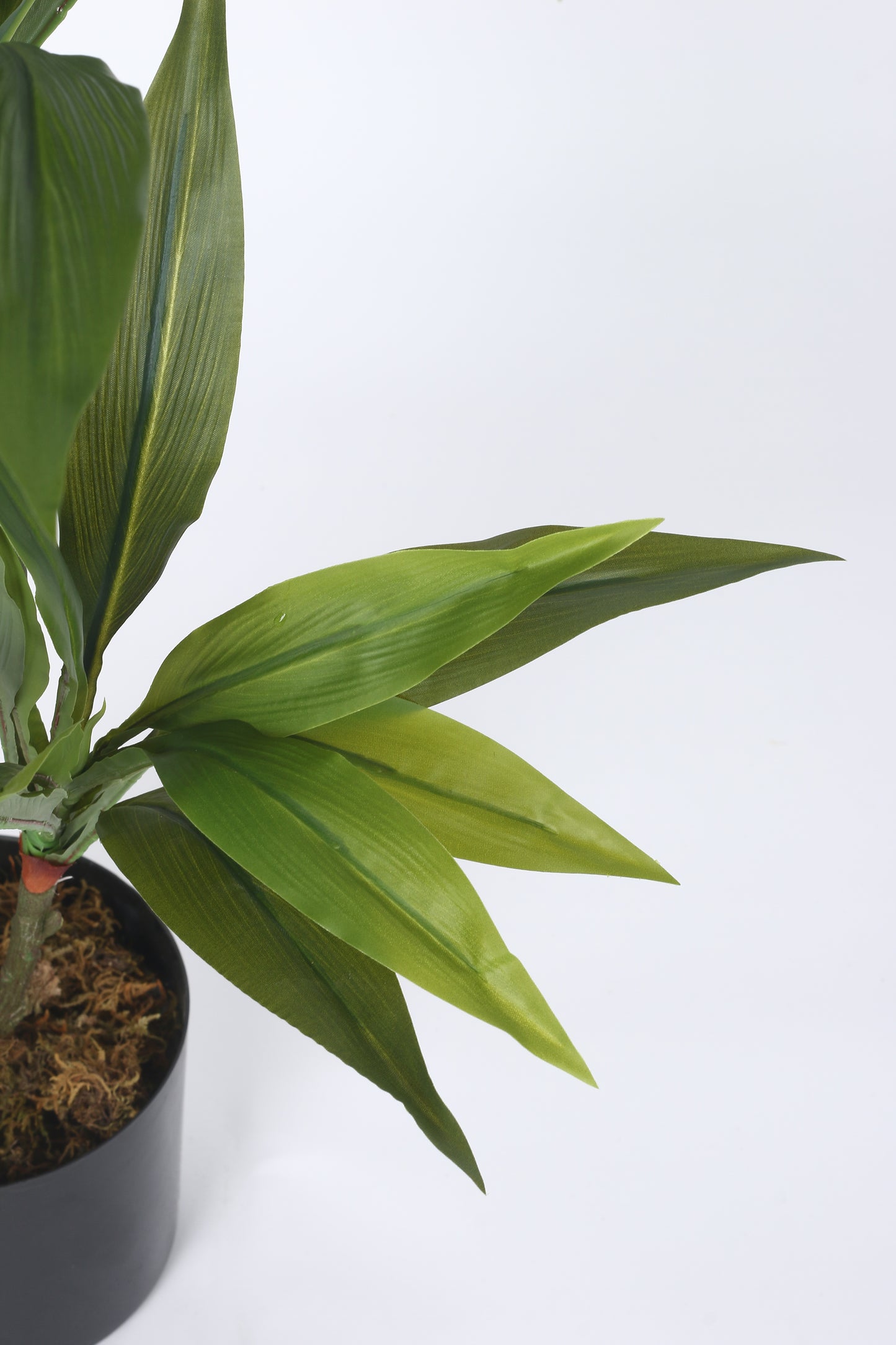 2.4Ft Artificial Dracaena Plants for with Basic Black Pot