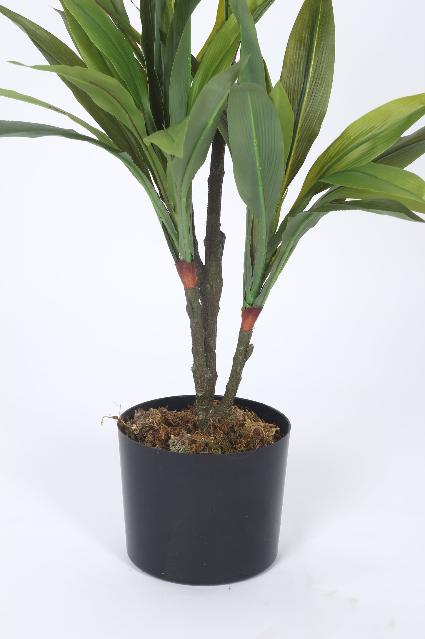 2.4Ft Artificial Dracaena Plants for with Basic Black Pot