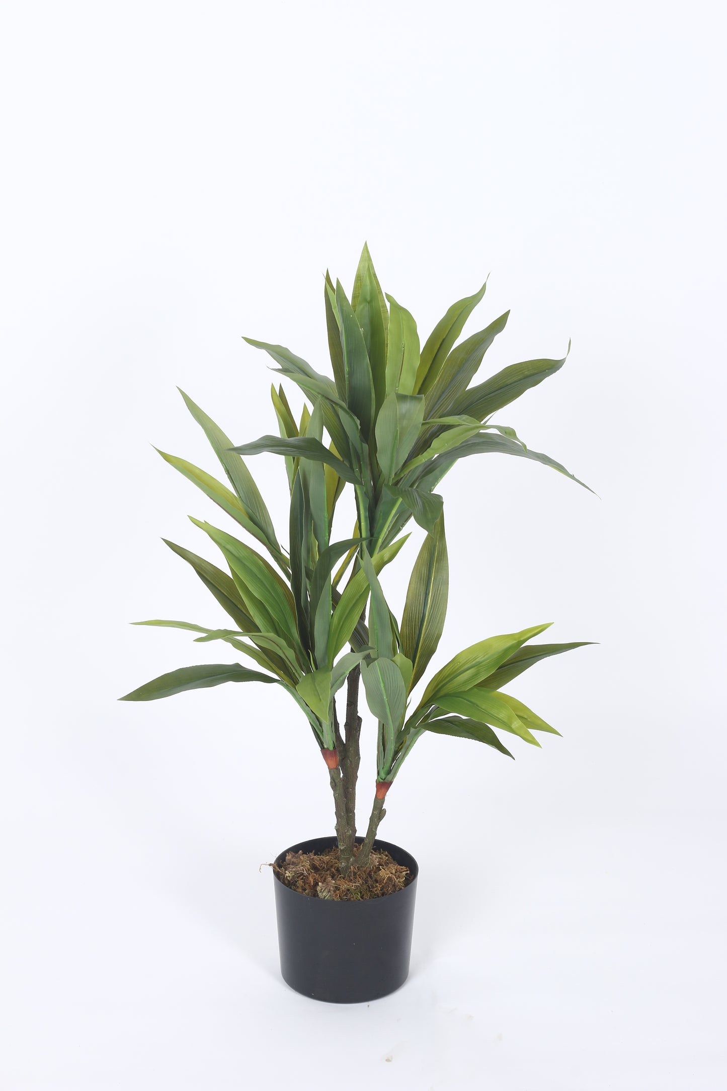 2.4Ft Artificial Dracaena Plants for with Basic Black Pot