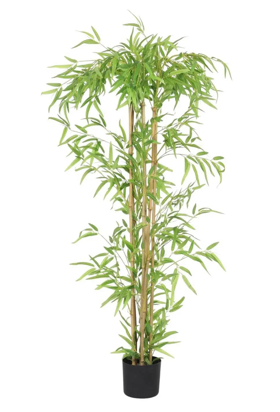 Artificial Plants 5ft-6ft Tall | Arick Decor ARICK DECOR