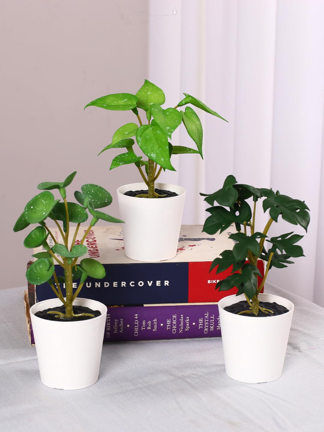 Small Plants