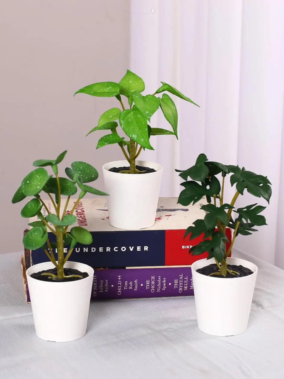 Small Plants ARICK DECOR