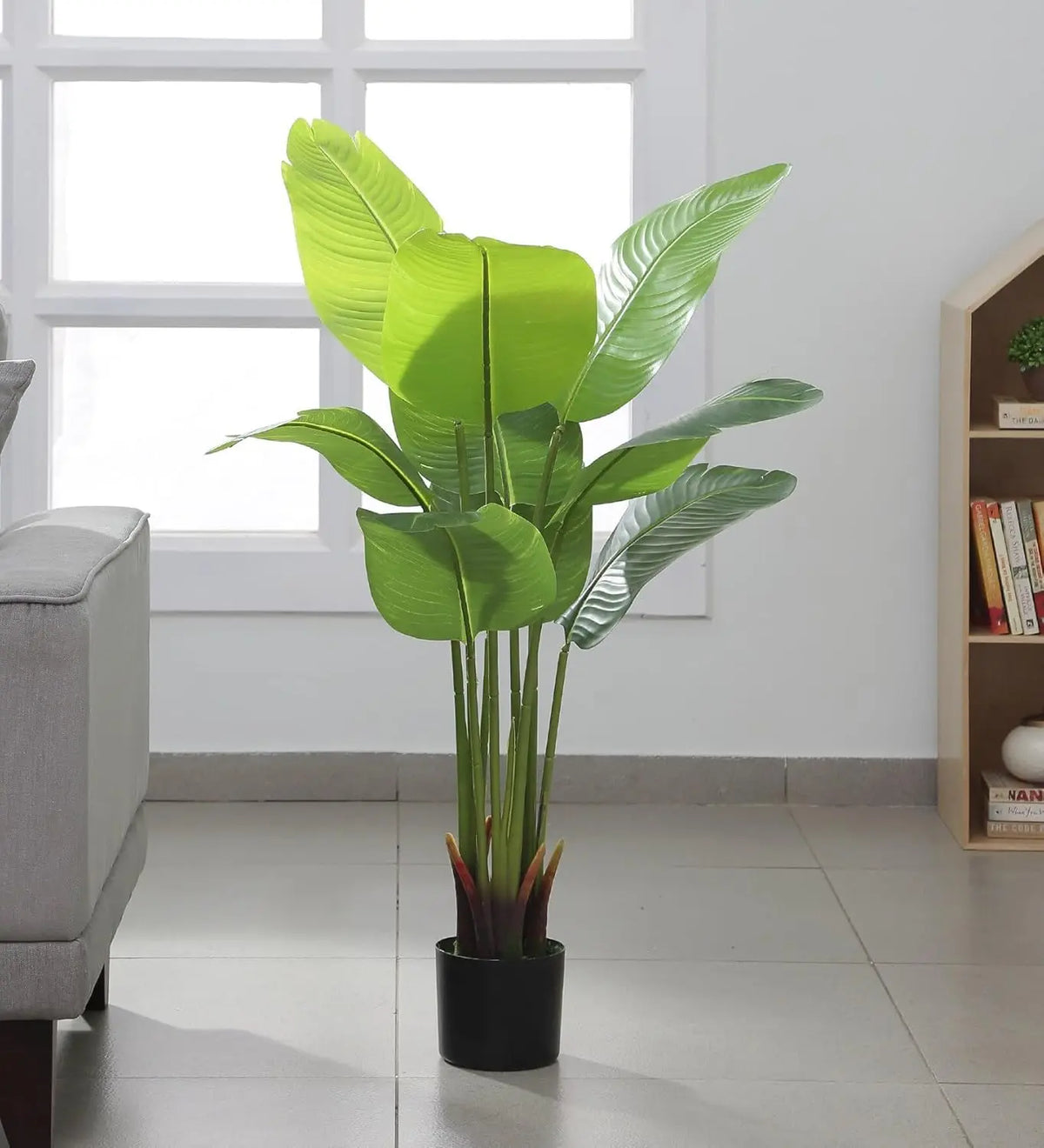 Banana Tree ARICK DECOR