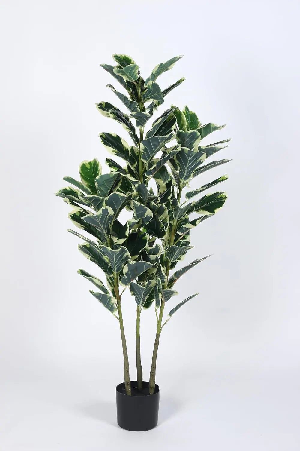 Potted ARICK DECOR