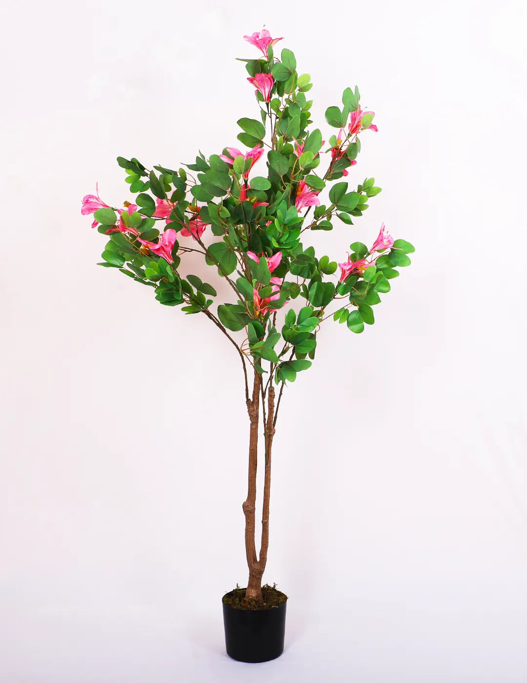 5.2Ft Artificial Magnolia Flowers Plant for With Pot
