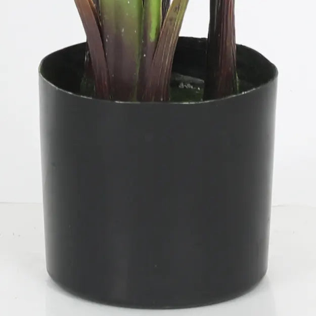 <strong>Decorative and Stable Pot</strong>