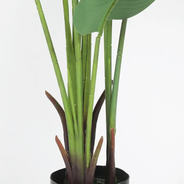 Strong Detailed Trunk