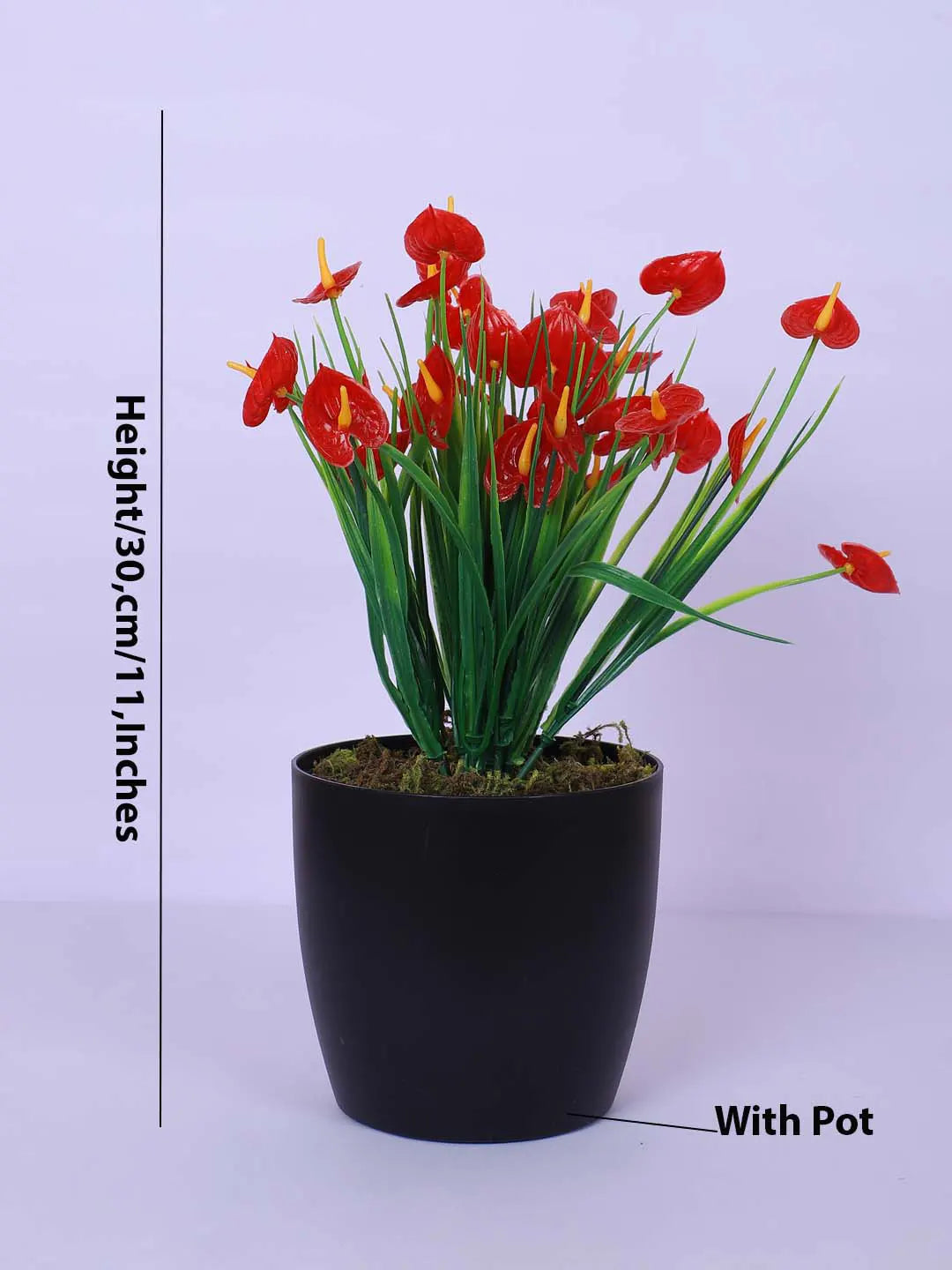 1Ft Artificial Anthurium Flower Plant With Black Pot