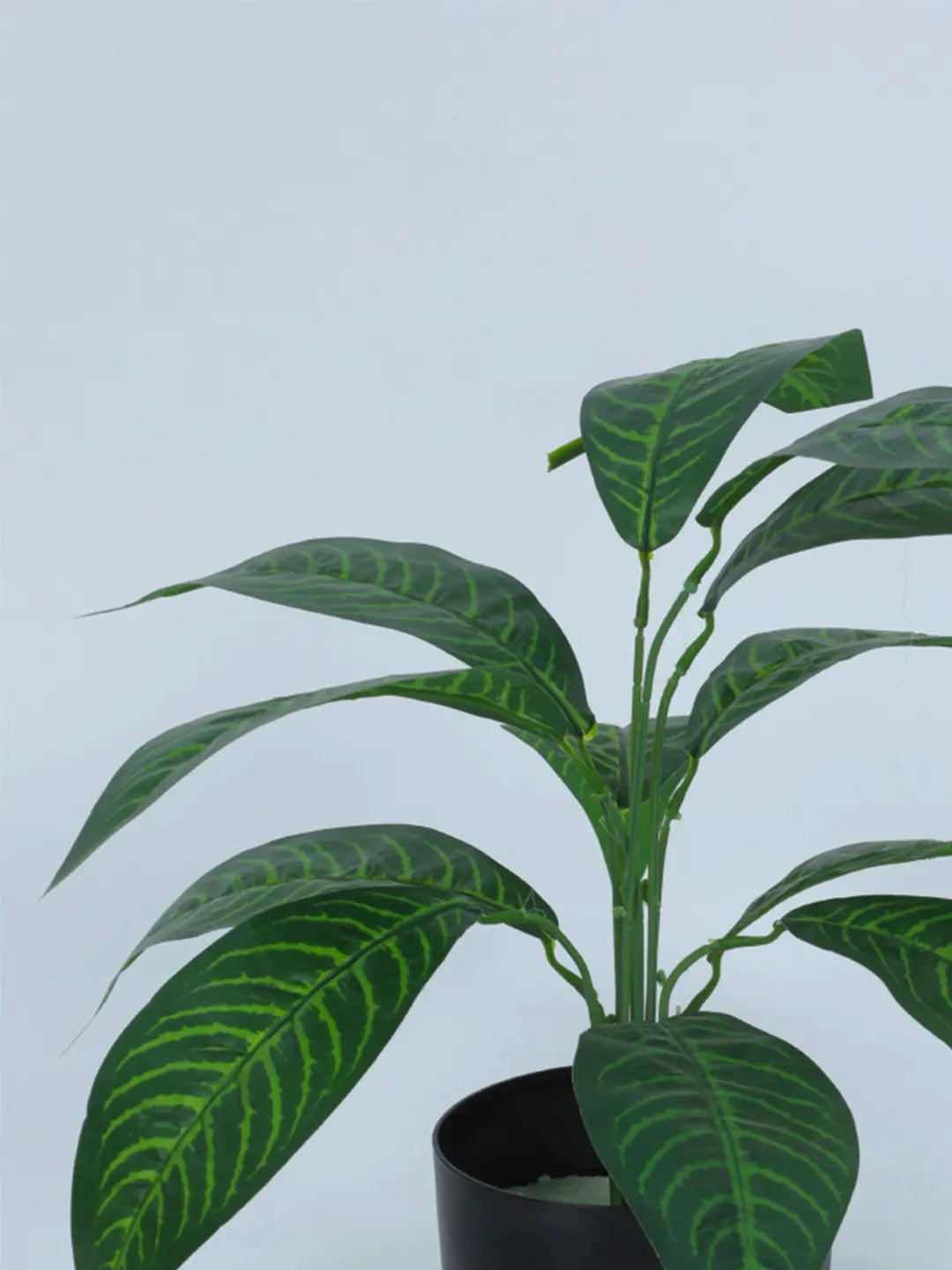 1.6Ft Artificial Croton Plants with Black Pot