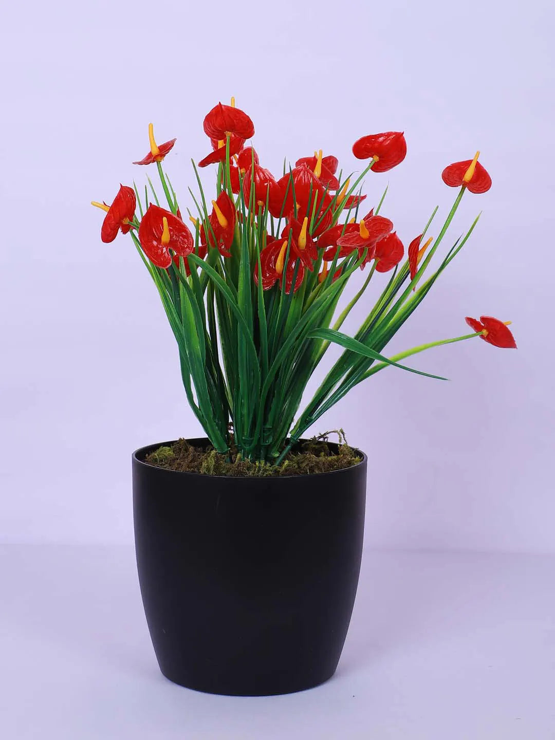 1Ft Artificial Anthurium Flower Plant With Black Pot