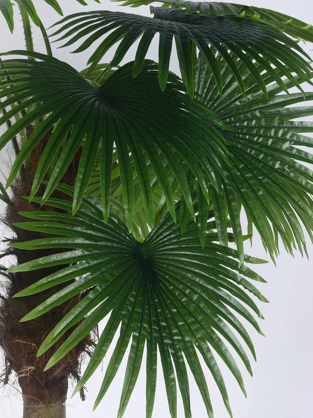 6.Ft Artificial Palm Tree for with Pot