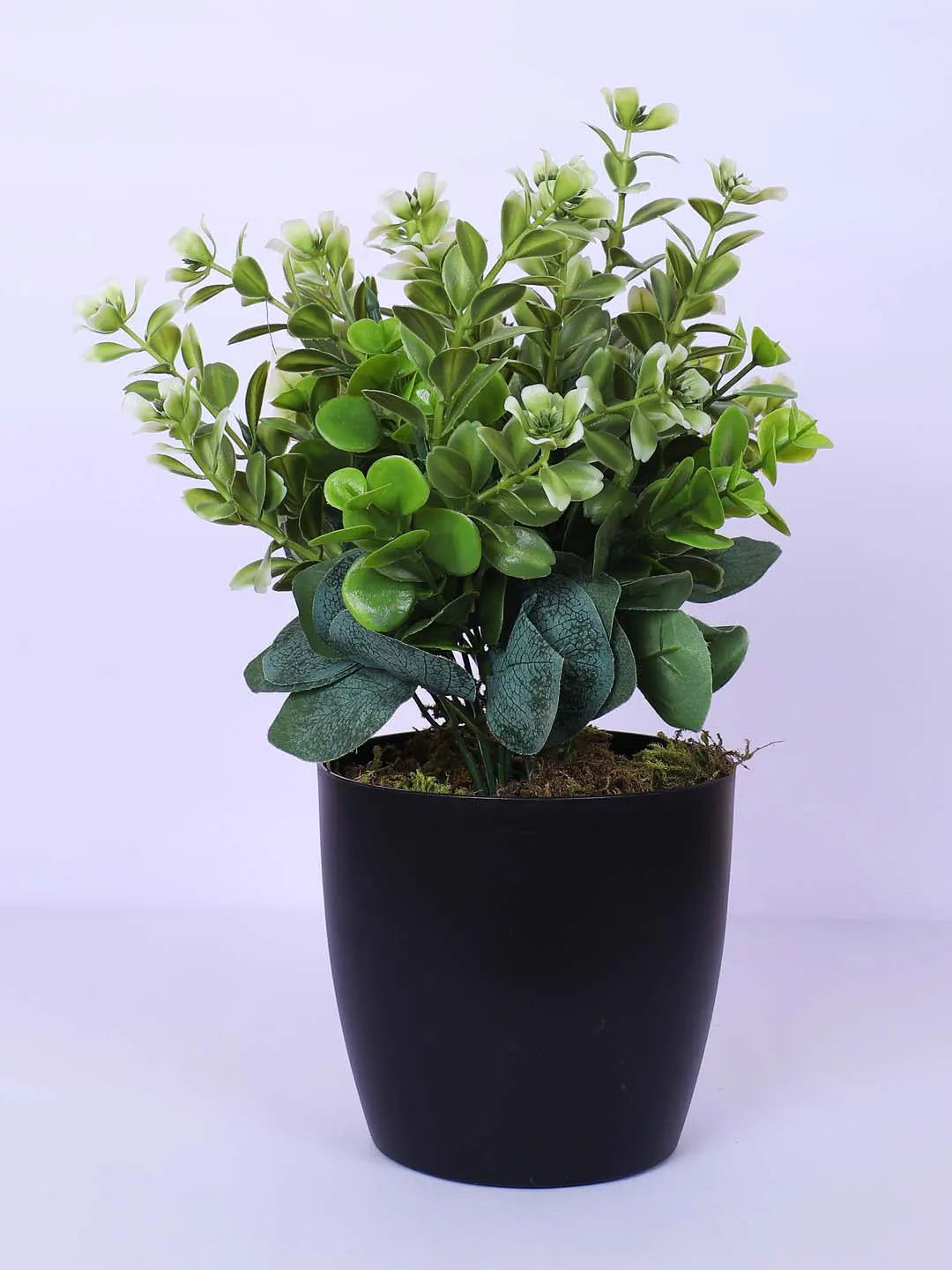 1.1Ft Artificial Potted Plant Mini Faux Greenery in Sleek Black Pot