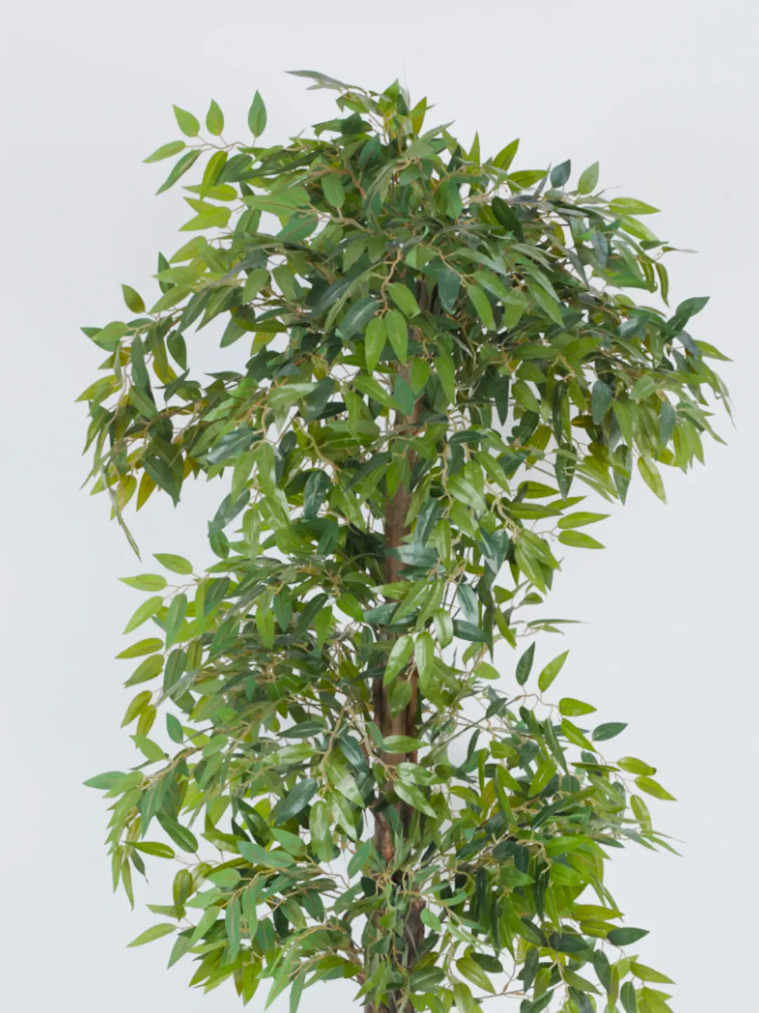 6Ft Artificial Plants for with Pot