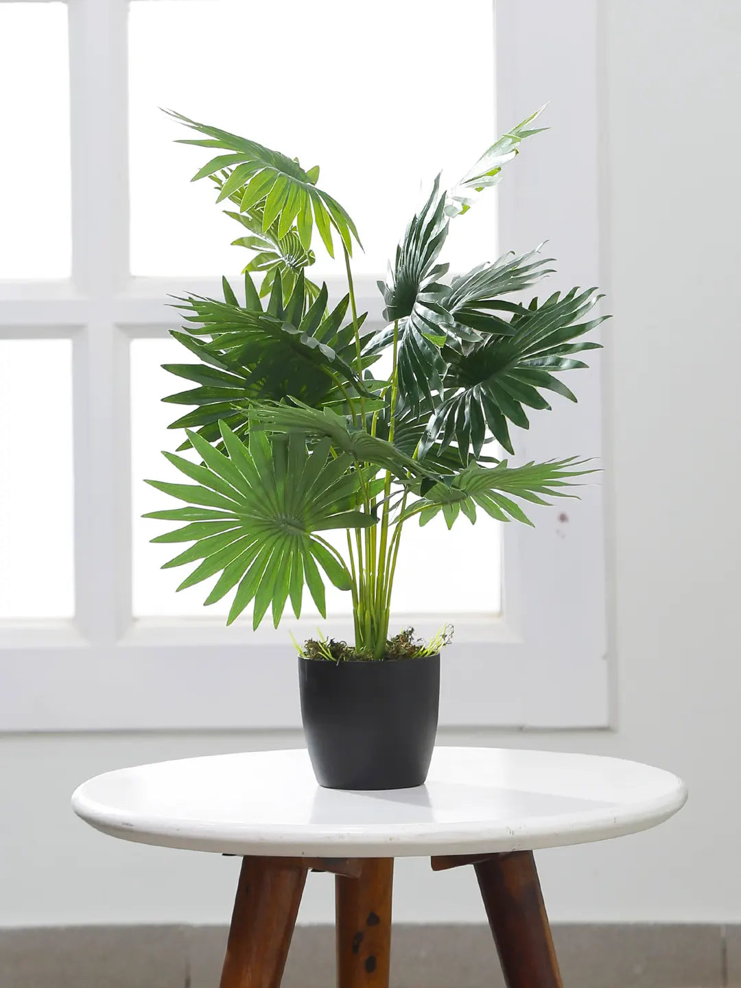 1.8Ft Artificial Fam Palm Plant with Pot 12 Leaves