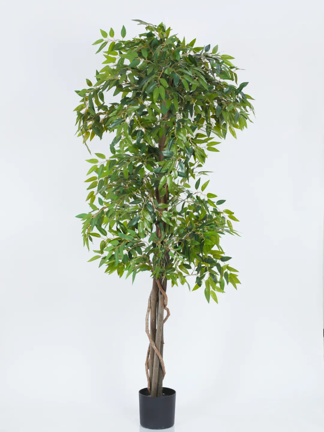 6Ft Artificial Plants for with Pot