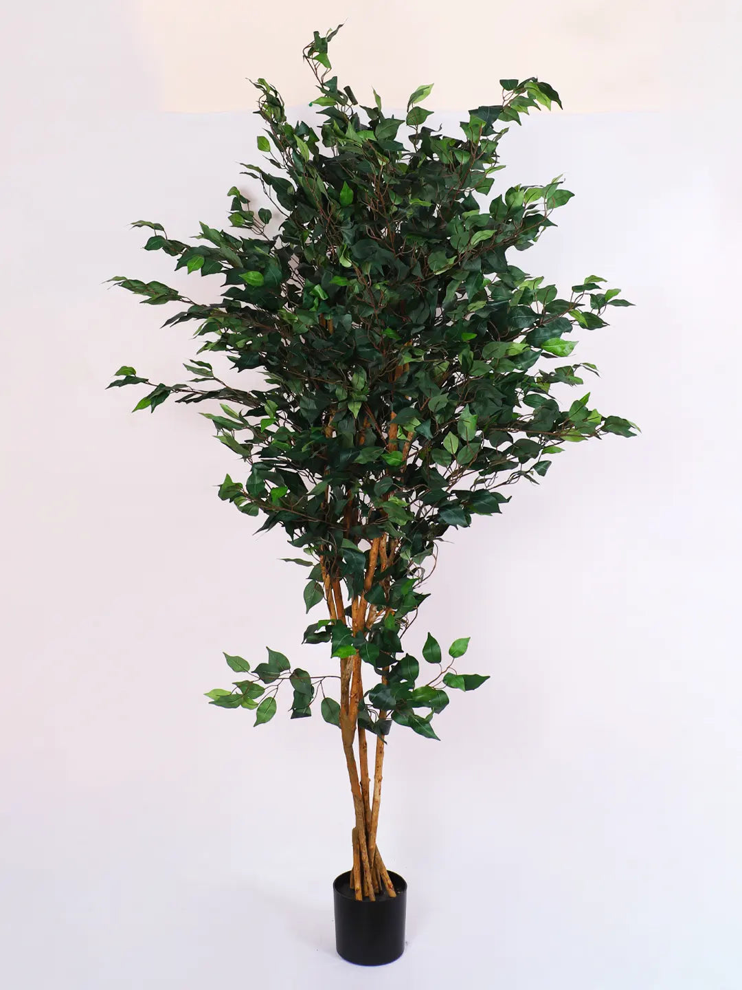 7Ft Artificial Ficus Plant for With Pot