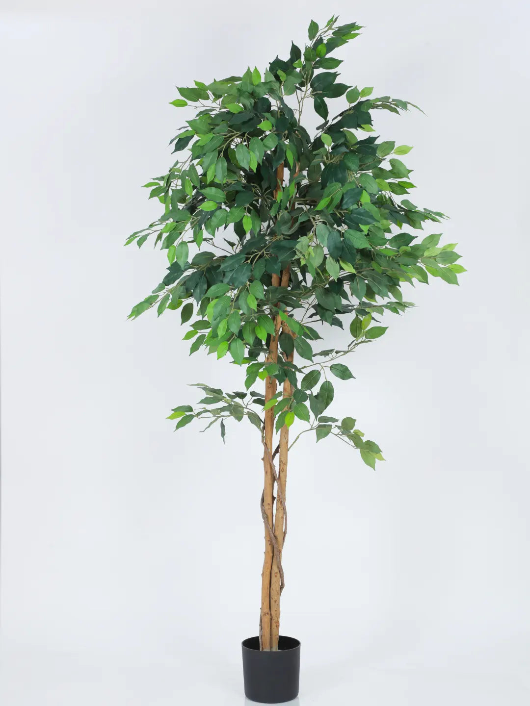 6.Ft Artificial Ficus Plants with Pot