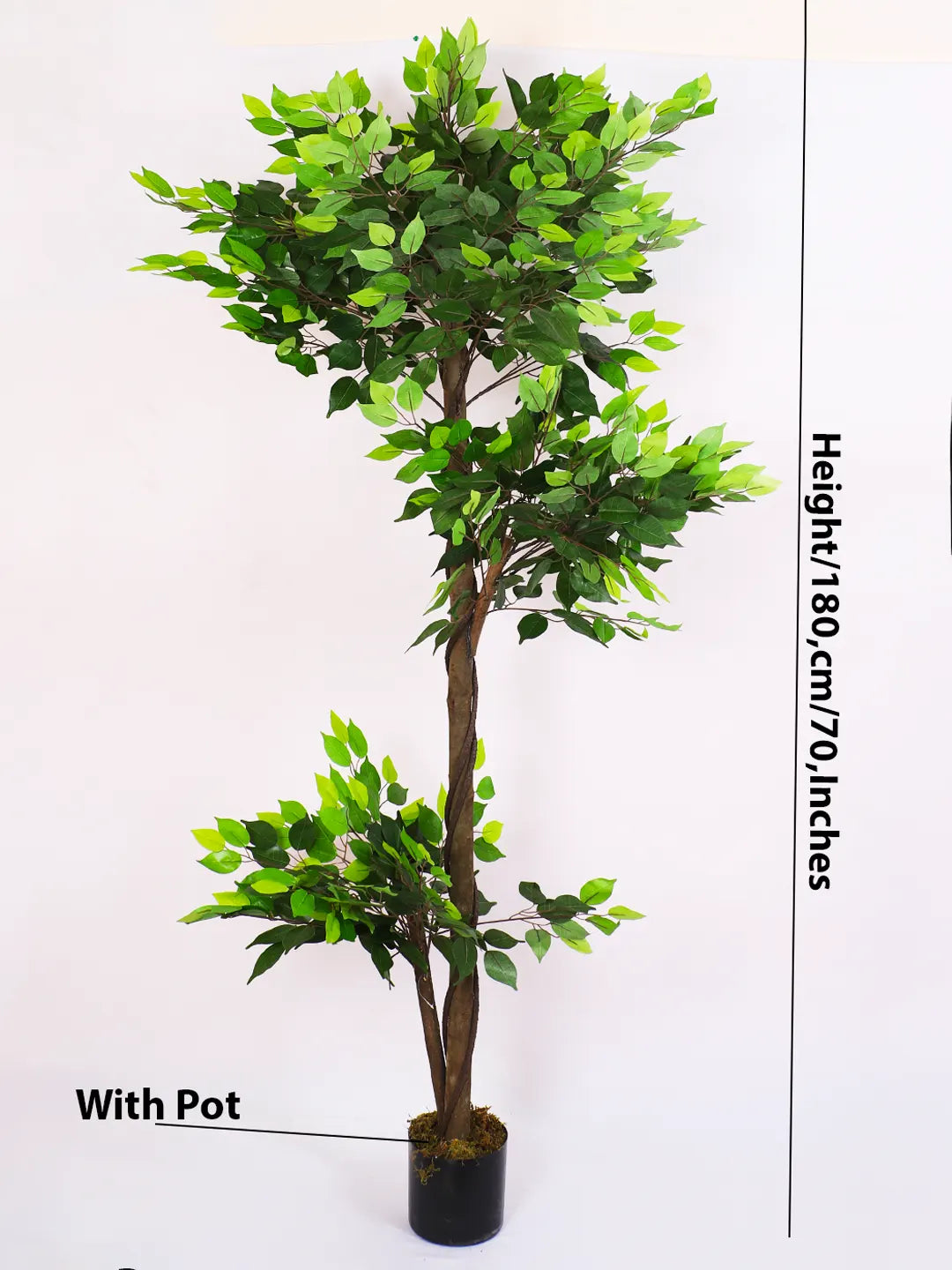 6Ft Artificial Ficus Plant for With Pot