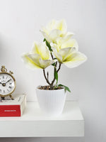 Artificial Magnolia Flower Bonsai Plant with Pot