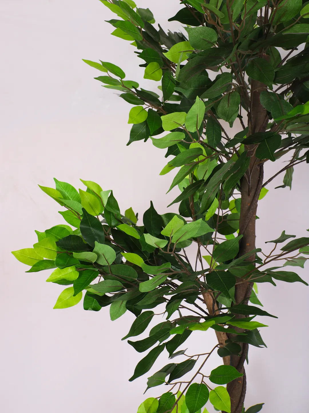 6Ft Artificial Ficus Plant for With Pot