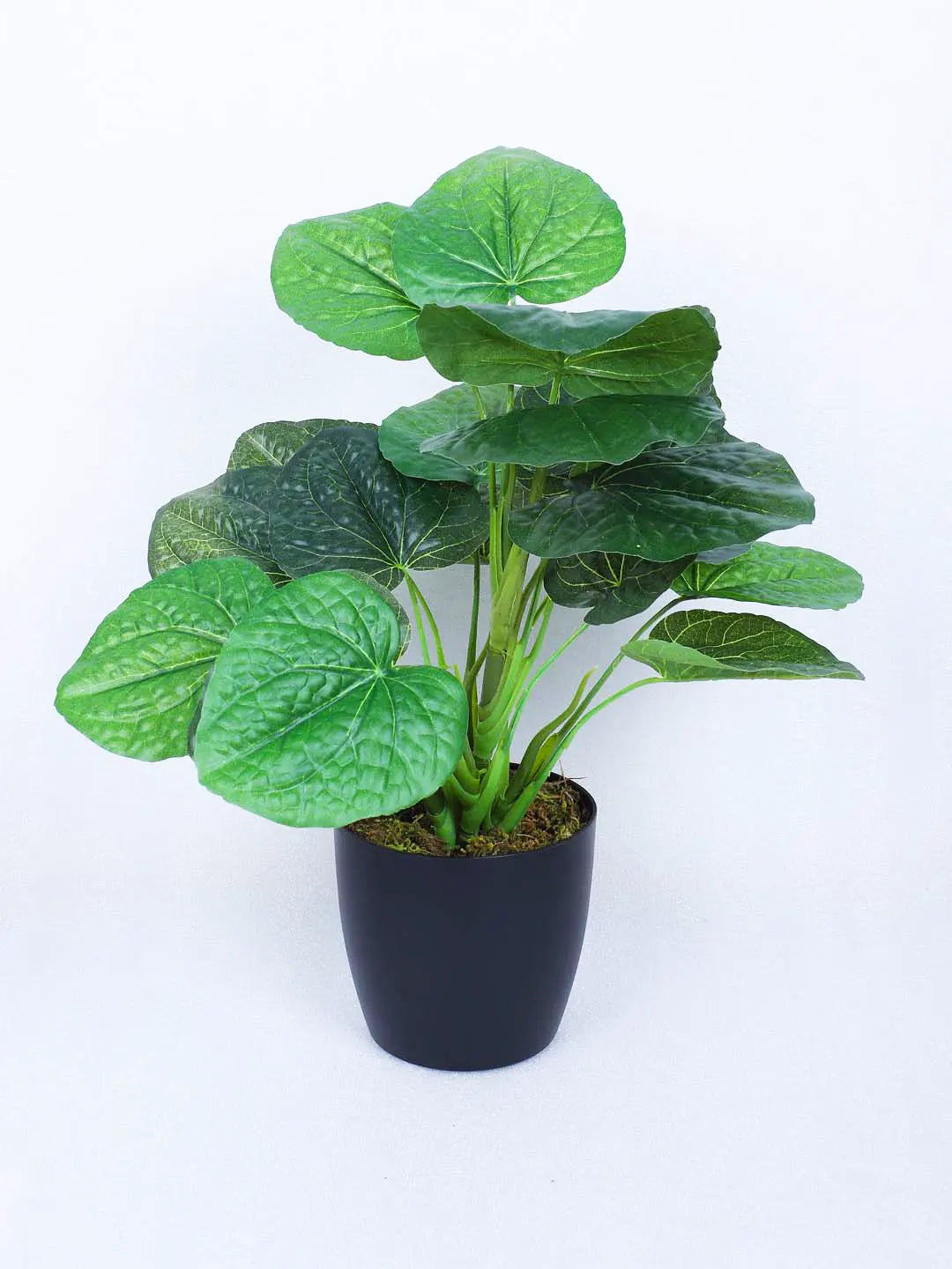 1.8Ft Artificial Money Monstera Potted Plant With Pot