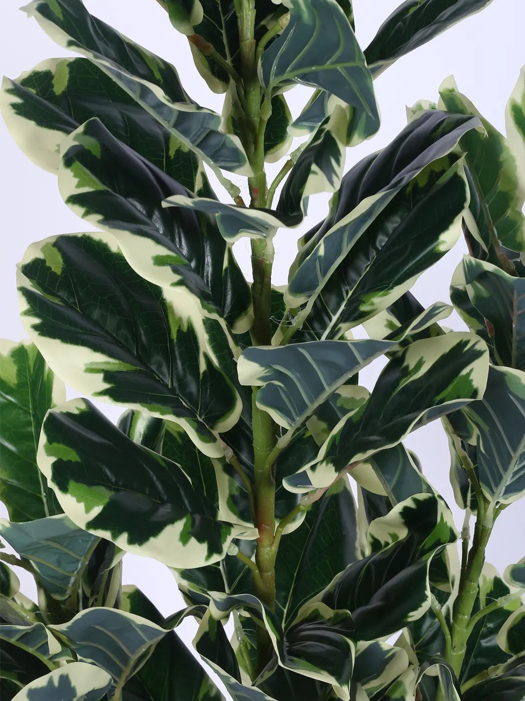 5.Ft Artificial Variegated Fiddle Leaf Fig Plants for with Pot