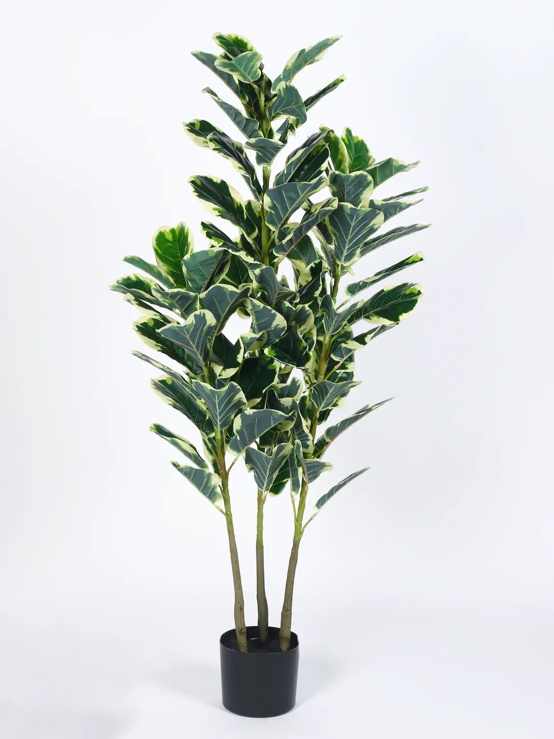 5.Ft Artificial Variegated Fiddle Leaf Fig Plants for with Pot