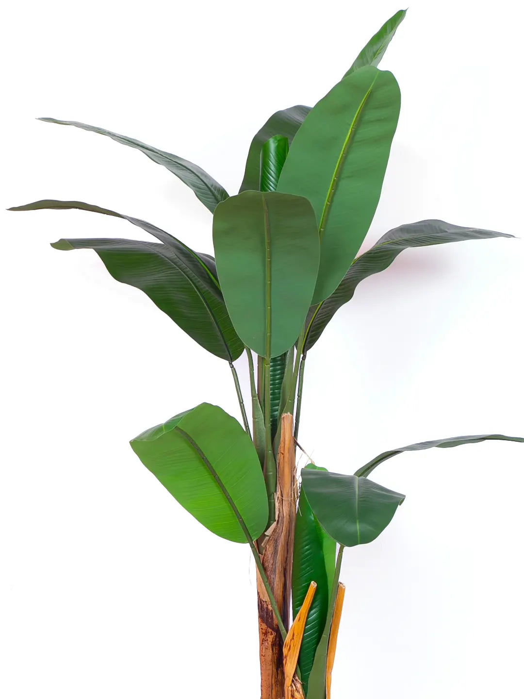 5.5Ft Artificial Banana Plant Trees with Pot