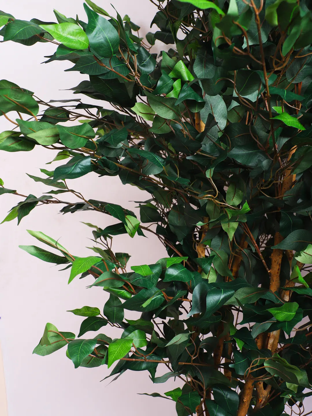 5Ft Artificial Ficus Plant for With Pot