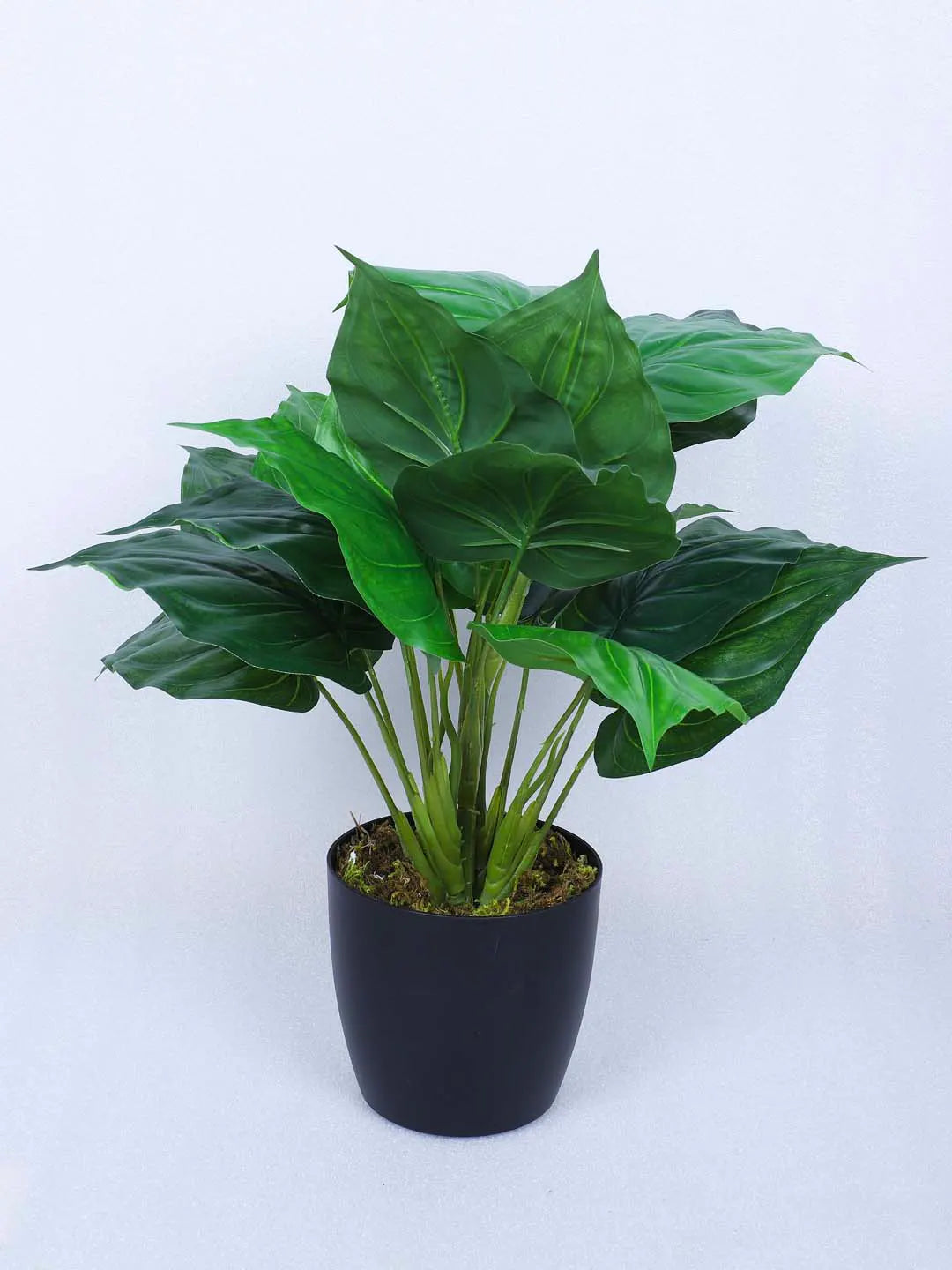 1.8Ft Artificial Money Potted Plant With Pot