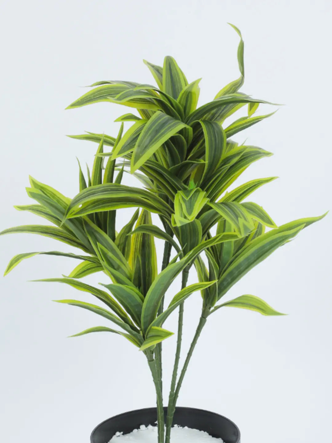 1.3Ft Artificial Dracaena Plants  Bush with Basic Black Pot