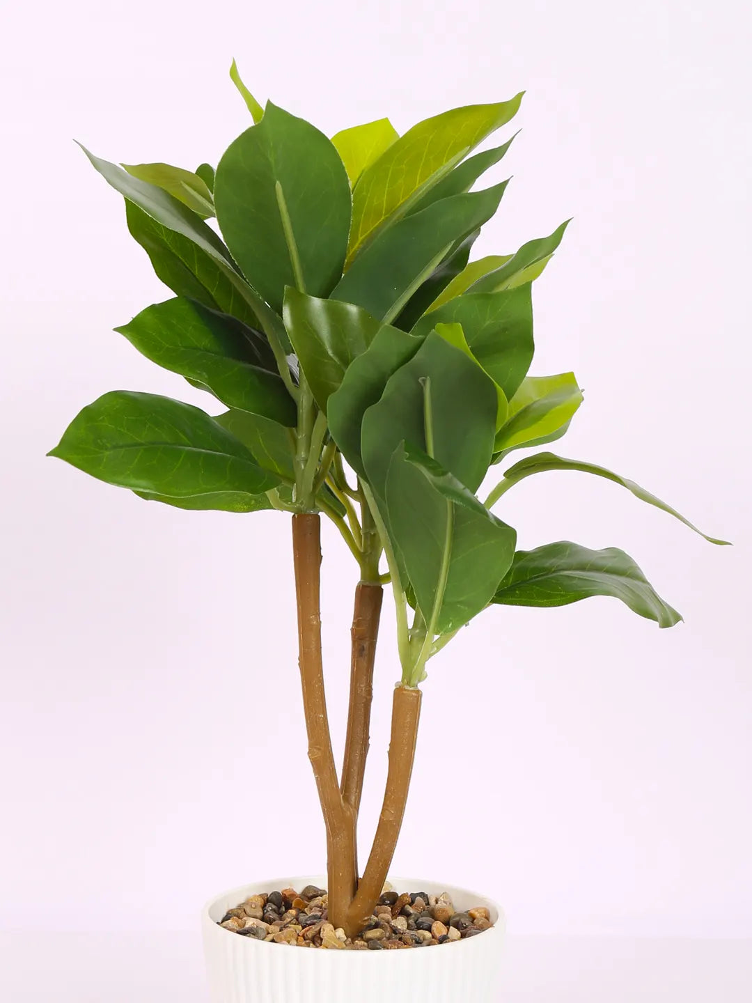 Artificial Potted Bonsai Plant with Pot
