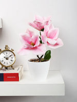 Artificial Magnolia Flower Bonsai Plant with Pot