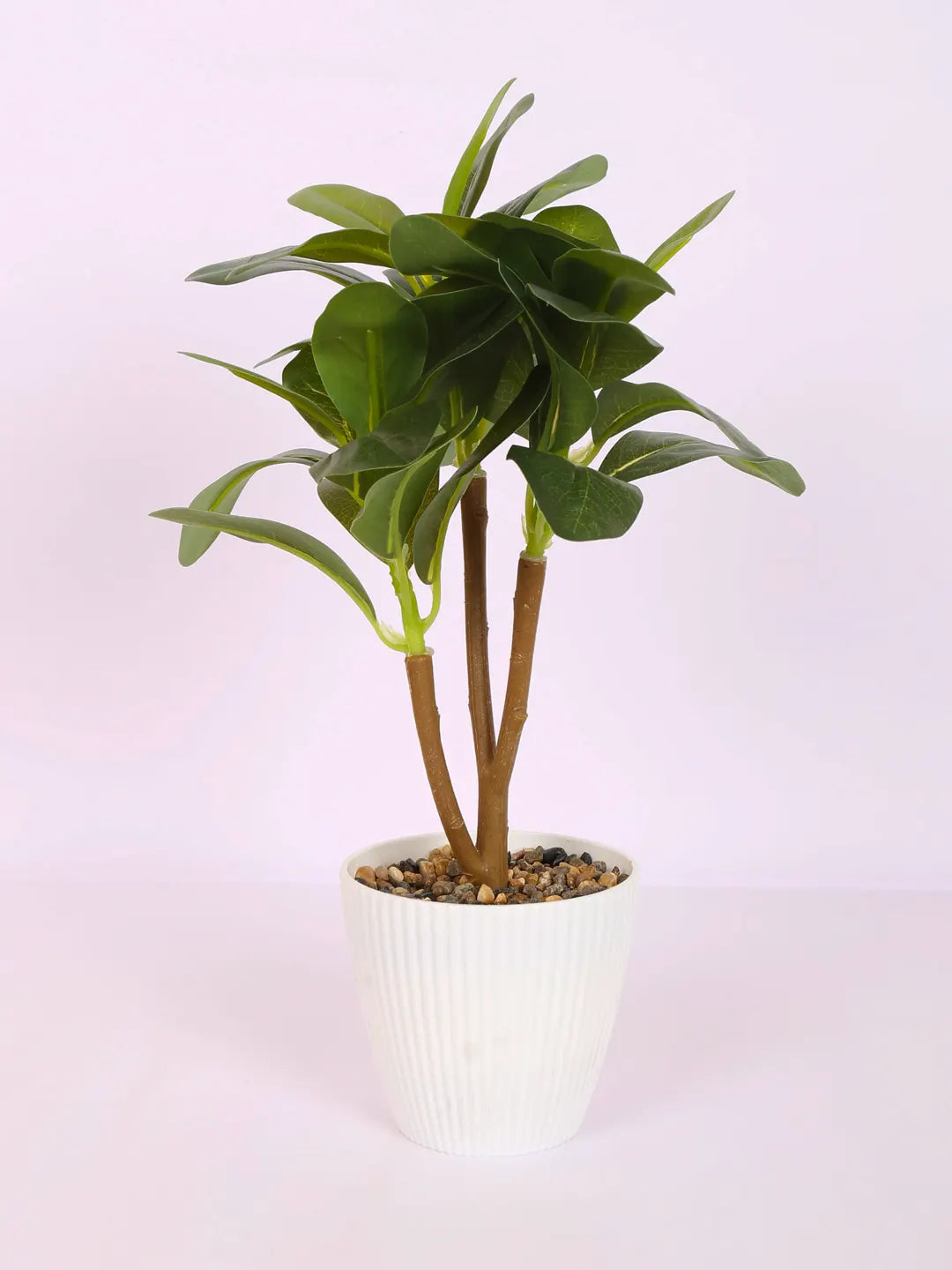 Artificial Ficus Potted Bonsai Plant with Pot