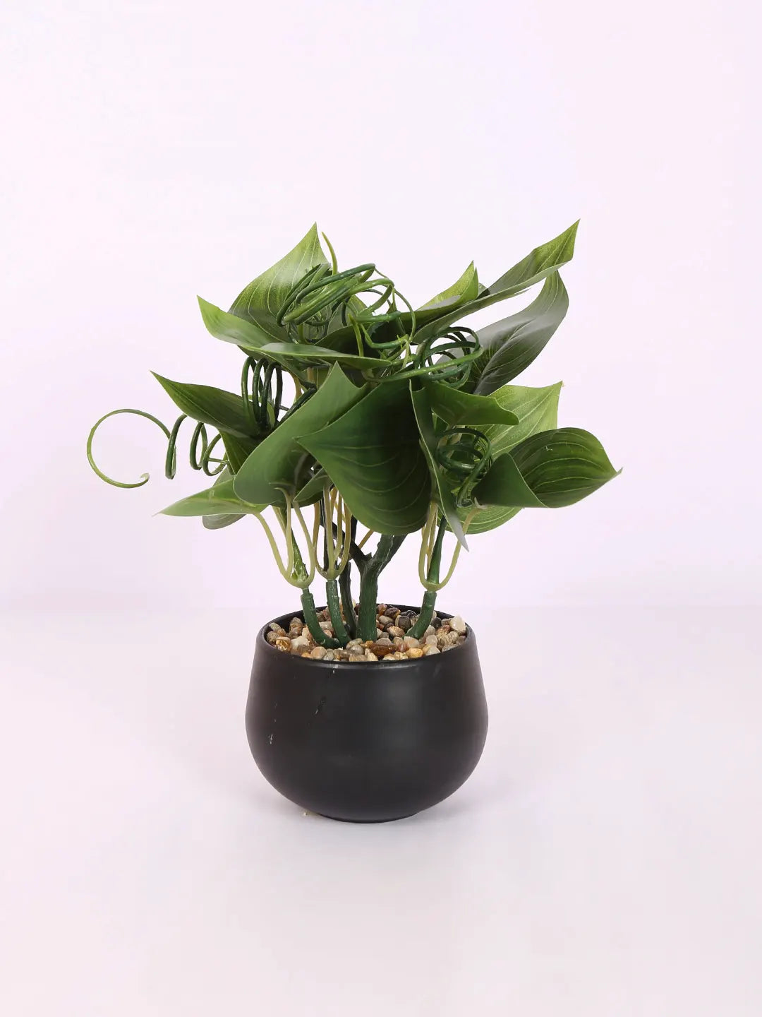 Artificial Money Bonsai Plant with black Pot