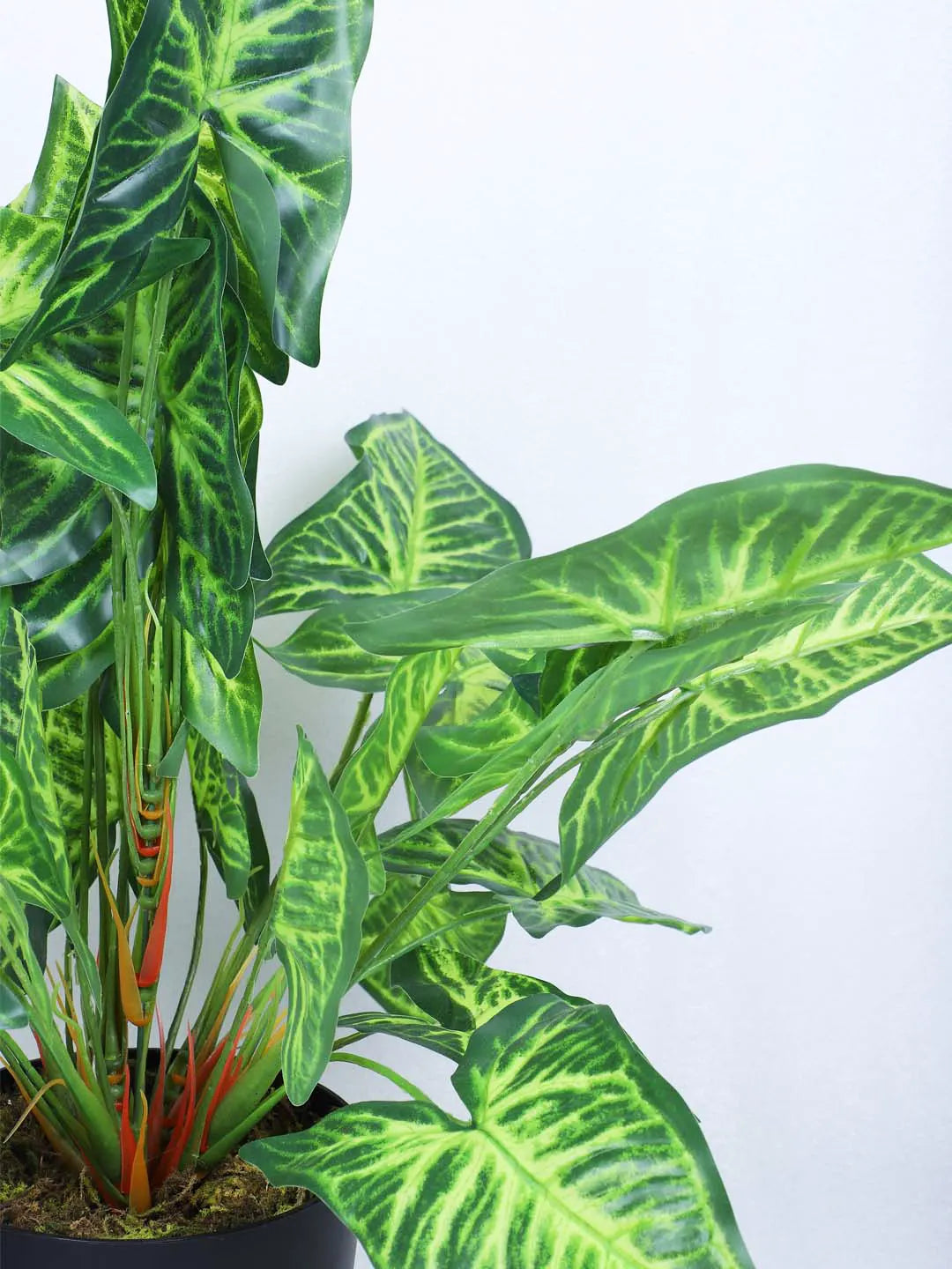 1.8Ft Artificial Caladium Potted Plant With Pot