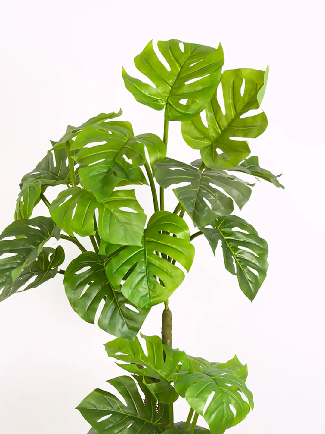 6Ft Artificial Monstera Plant with Pot