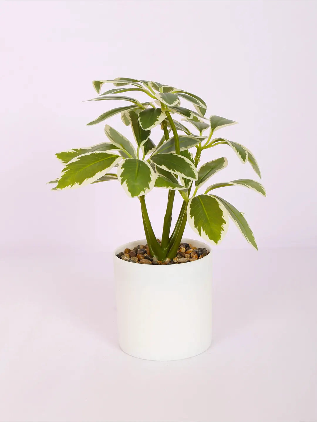 Artificial Schefflera Mini Bonsai Plant with White Pot