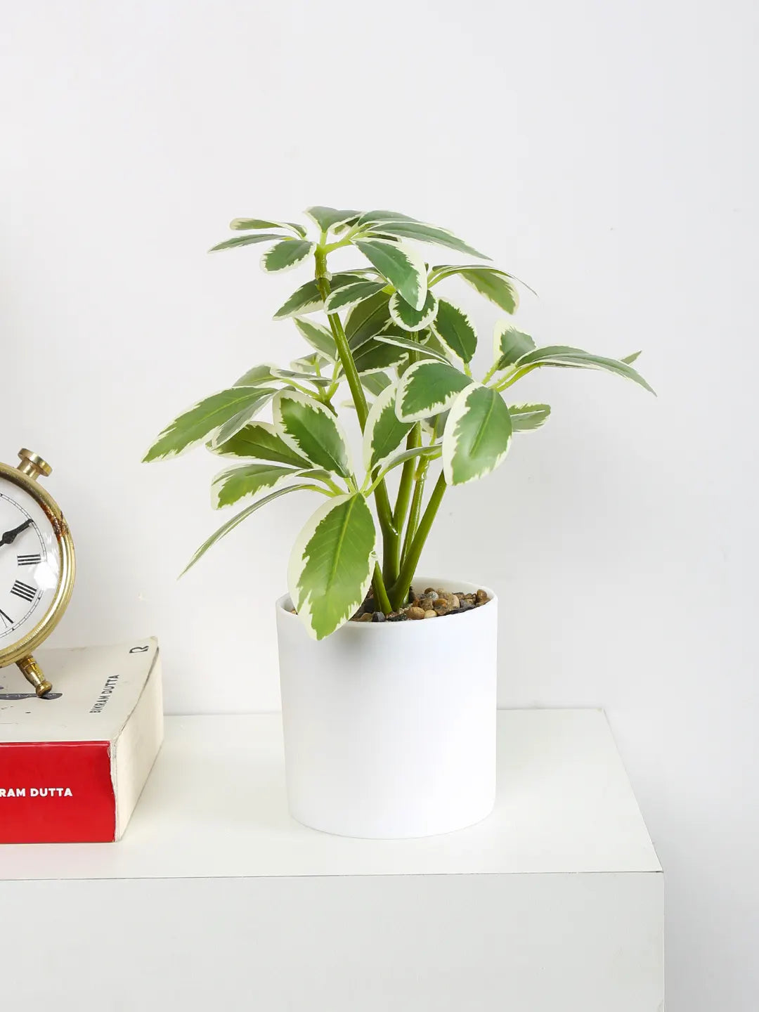 Artificial Schefflera Mini Bonsai Plant with White Pot