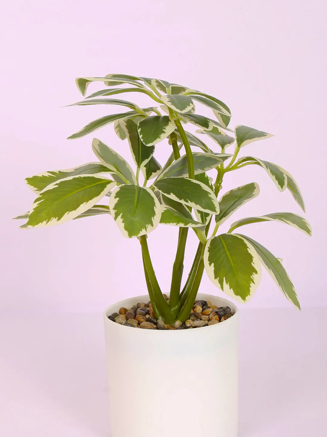Artificial Schefflera Mini Bonsai Plant with White Pot