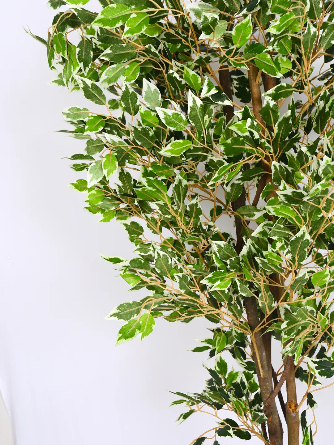 5.5Ft Artificial Ficus Plants with Pot