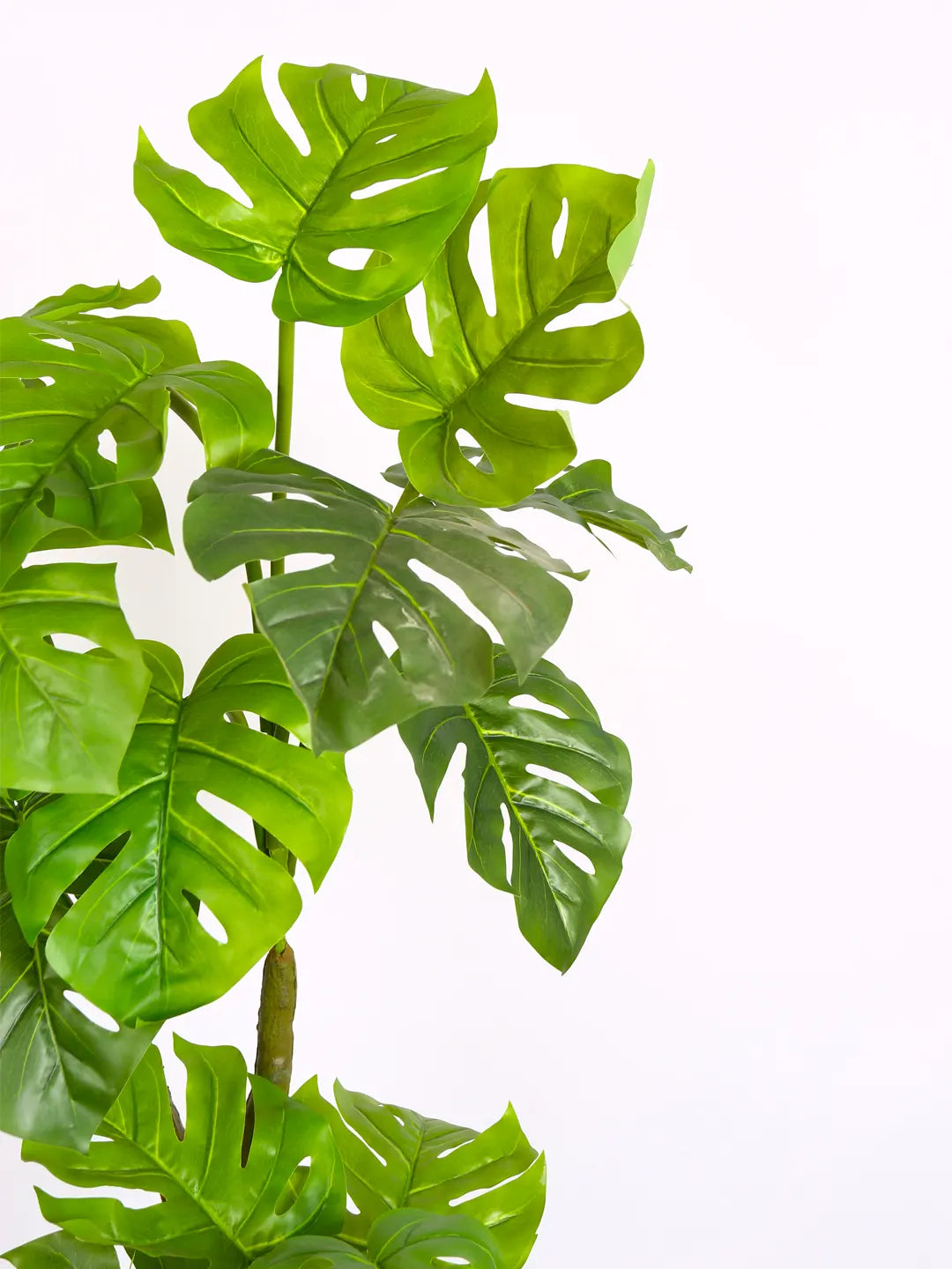 6Ft Artificial Monstera Plant with Pot