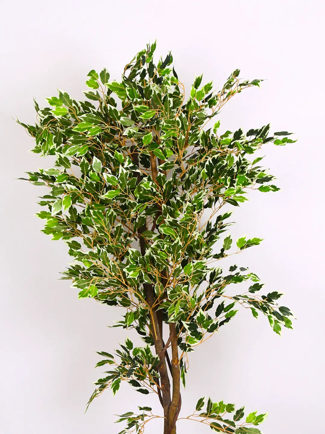 5.5Ft Artificial Ficus Plants with Pot