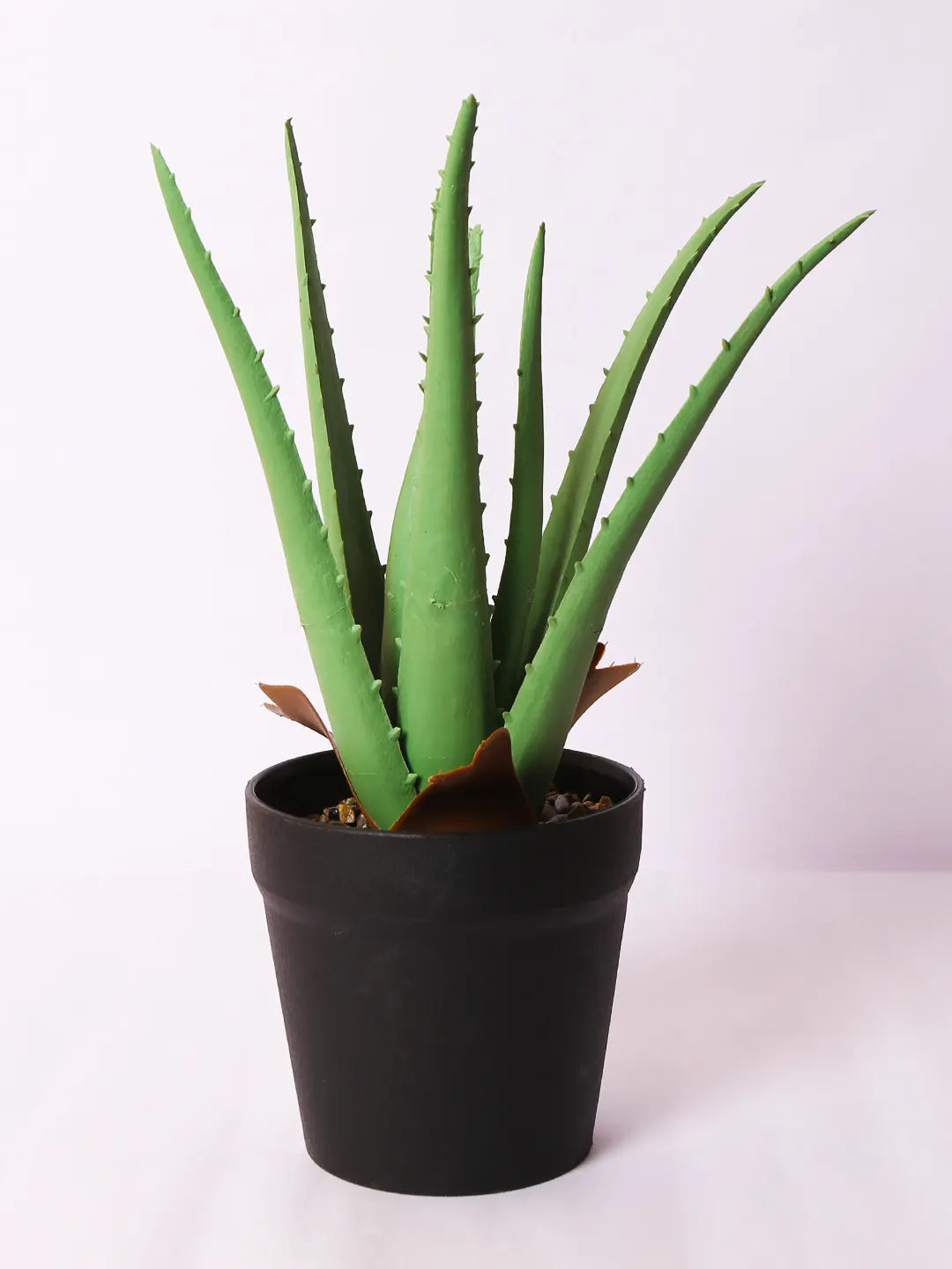 Artificial Real Touch Aloe Vera Bonsai Plant with black Pot