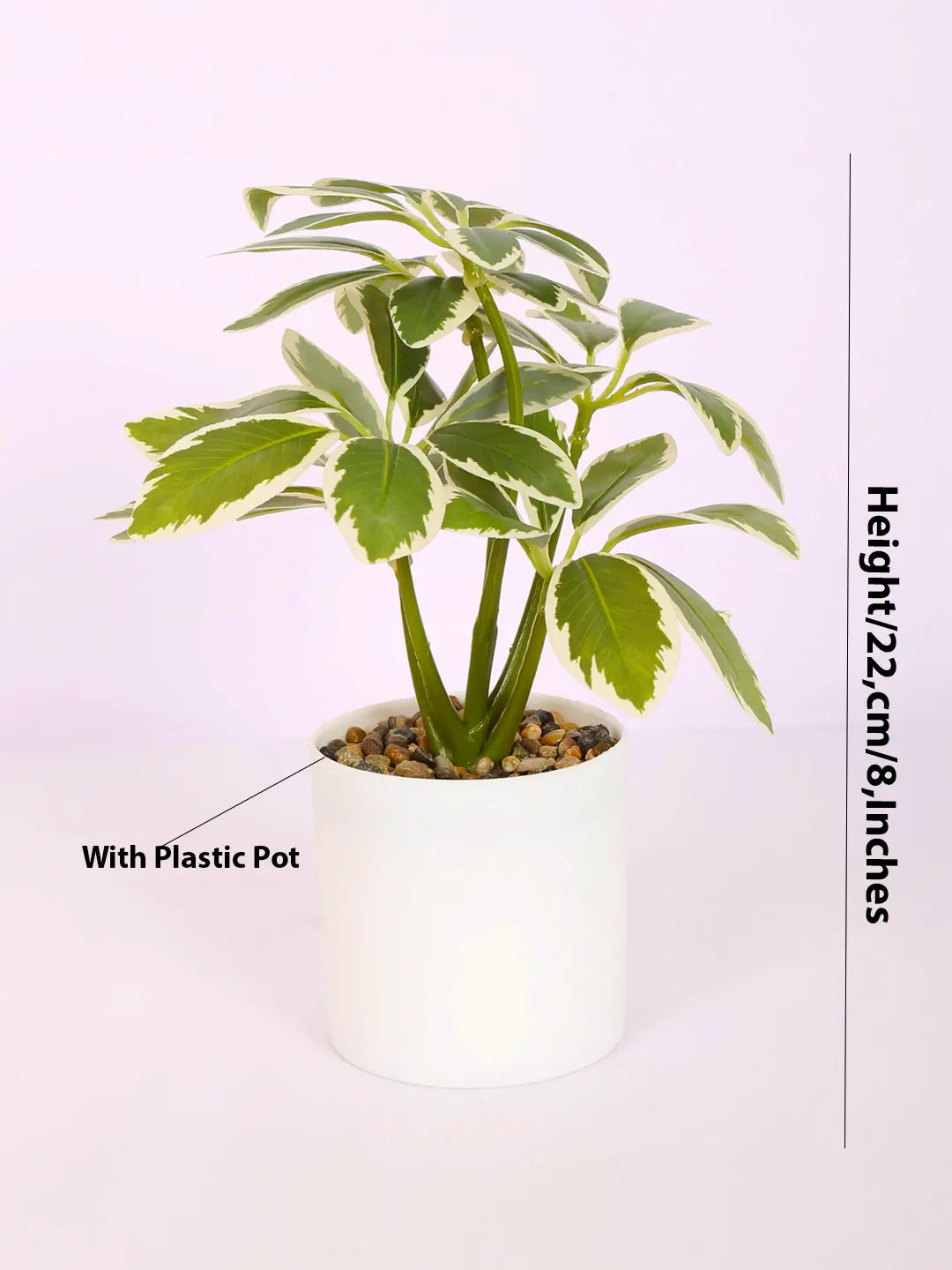 Artificial Schefflera Mini Bonsai Plant with White Pot