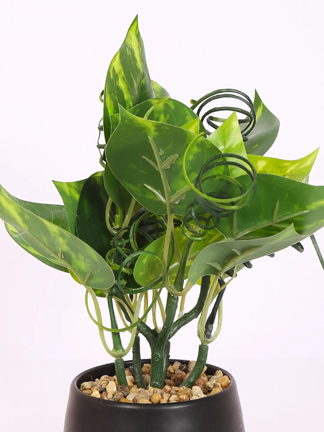 Artificial Money Bonsai Plant with black Pot
