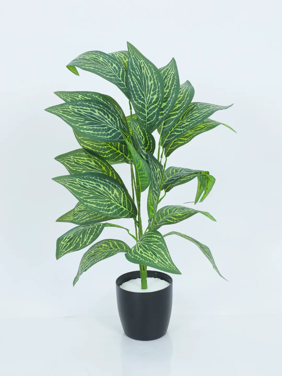 2.2Ft Artificial White Croton Plants|26 Leaves With Black Pot